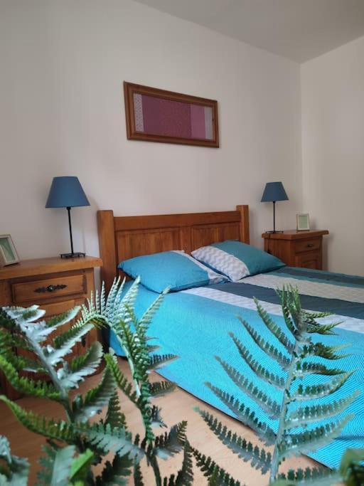 Gite Des Remparts Reservation Par Telephone Laissez Vos Coordonnees La Cote-Saint-Andre Εξωτερικό φωτογραφία